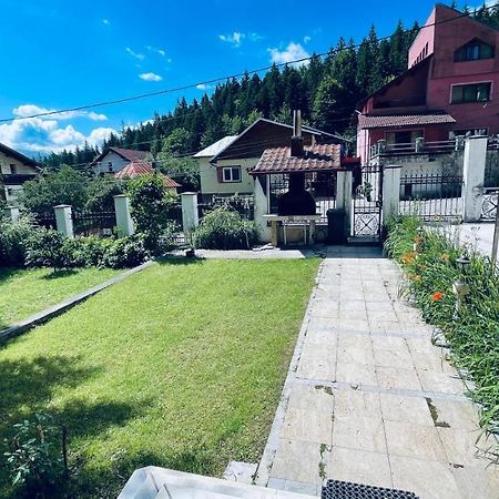 Pensiunea Luminita Buşteni Buitenkant foto