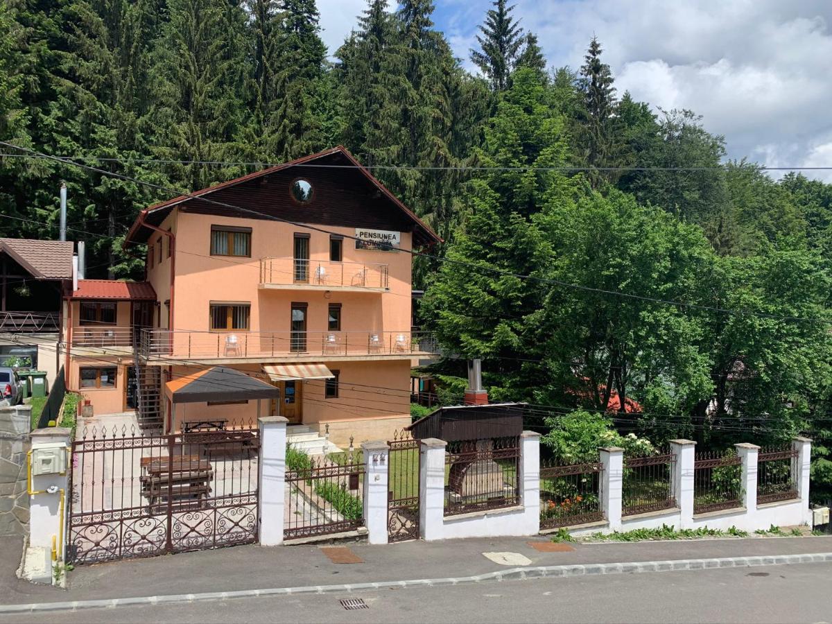 Pensiunea Luminita Buşteni Buitenkant foto