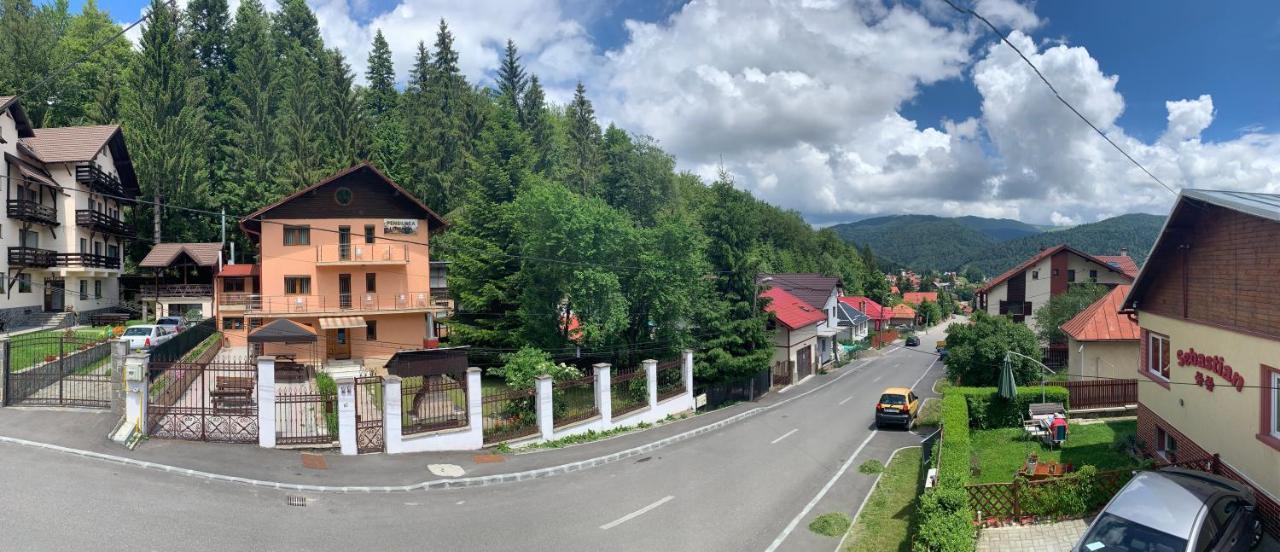Pensiunea Luminita Buşteni Buitenkant foto